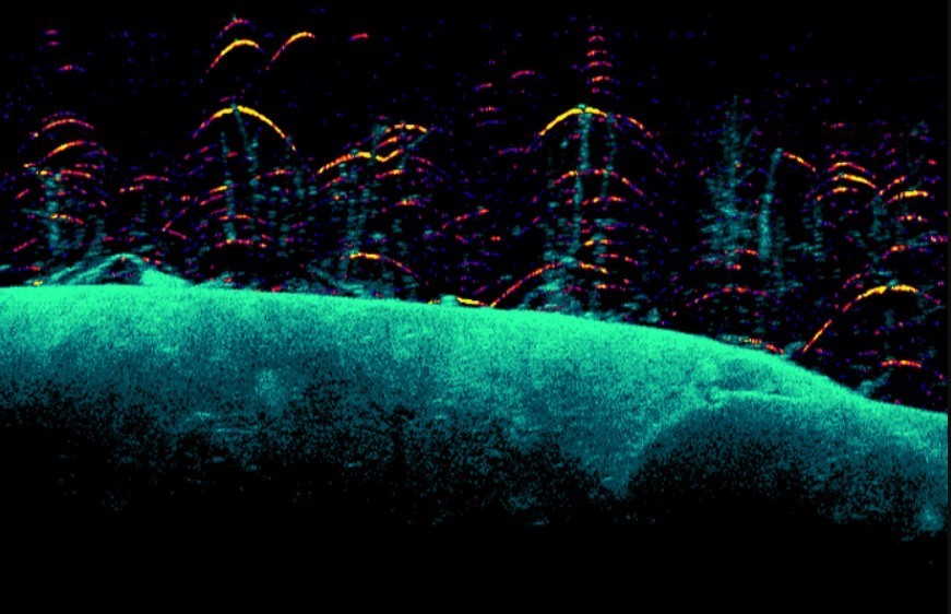 Downscan Imaging™