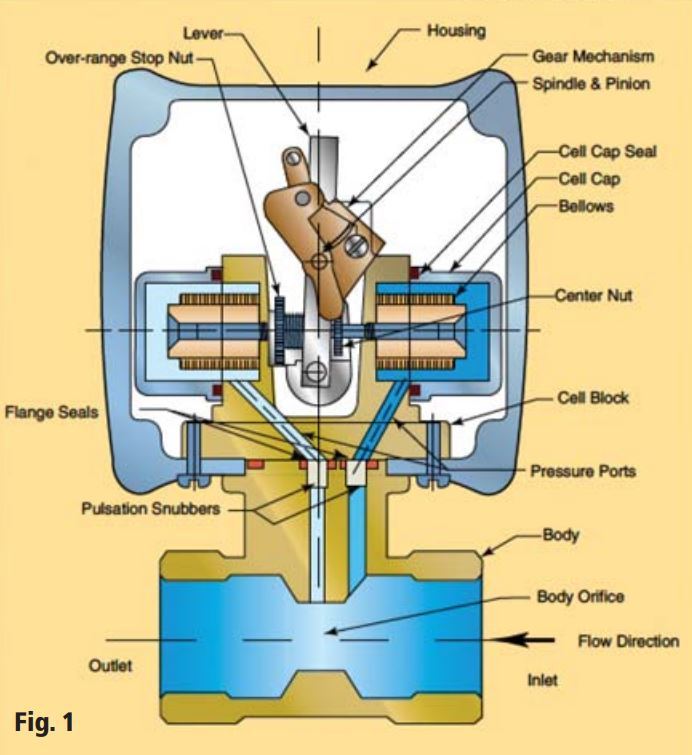 Cutaway View